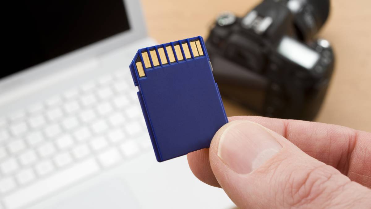 Mistakes to Avoid When Using a Game and Trail Camera - SD Cards