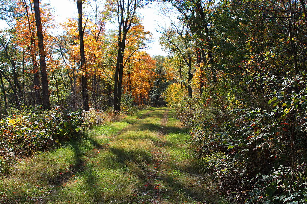 What is a Game Trail