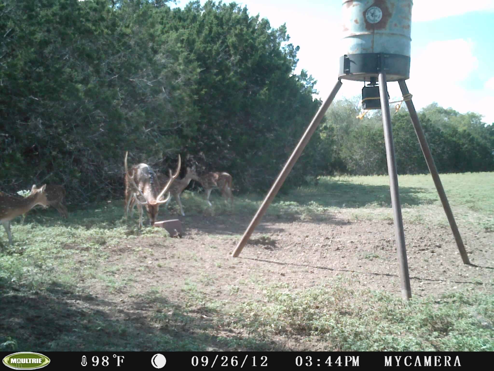 How To Use A Game Trail Camera For Security 1
