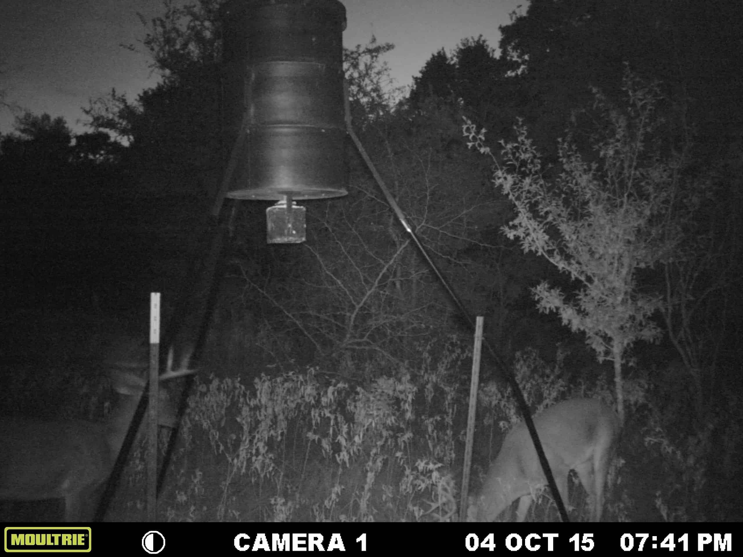 How To Use A Game Trail Camera For Security 2